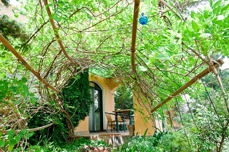 תמונה של בית האורן - 3 תמונה של בית האורן - 3