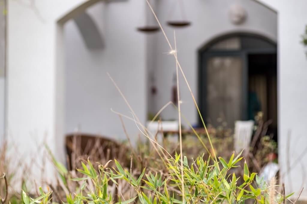 תמונה של בית הזית - 6 תמונה של בית הזית - 6