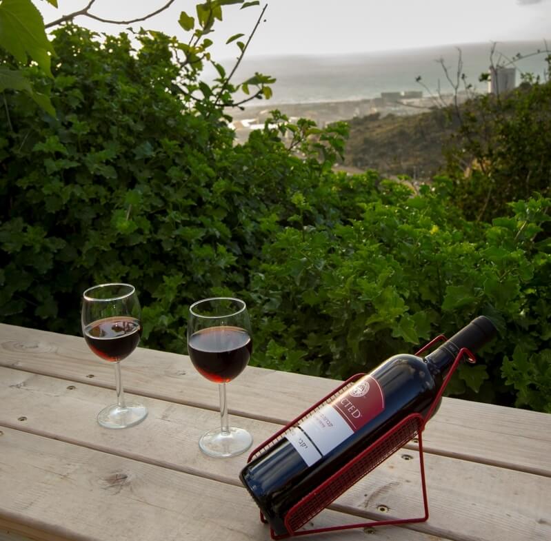 תמונה של סוויטה C - 8