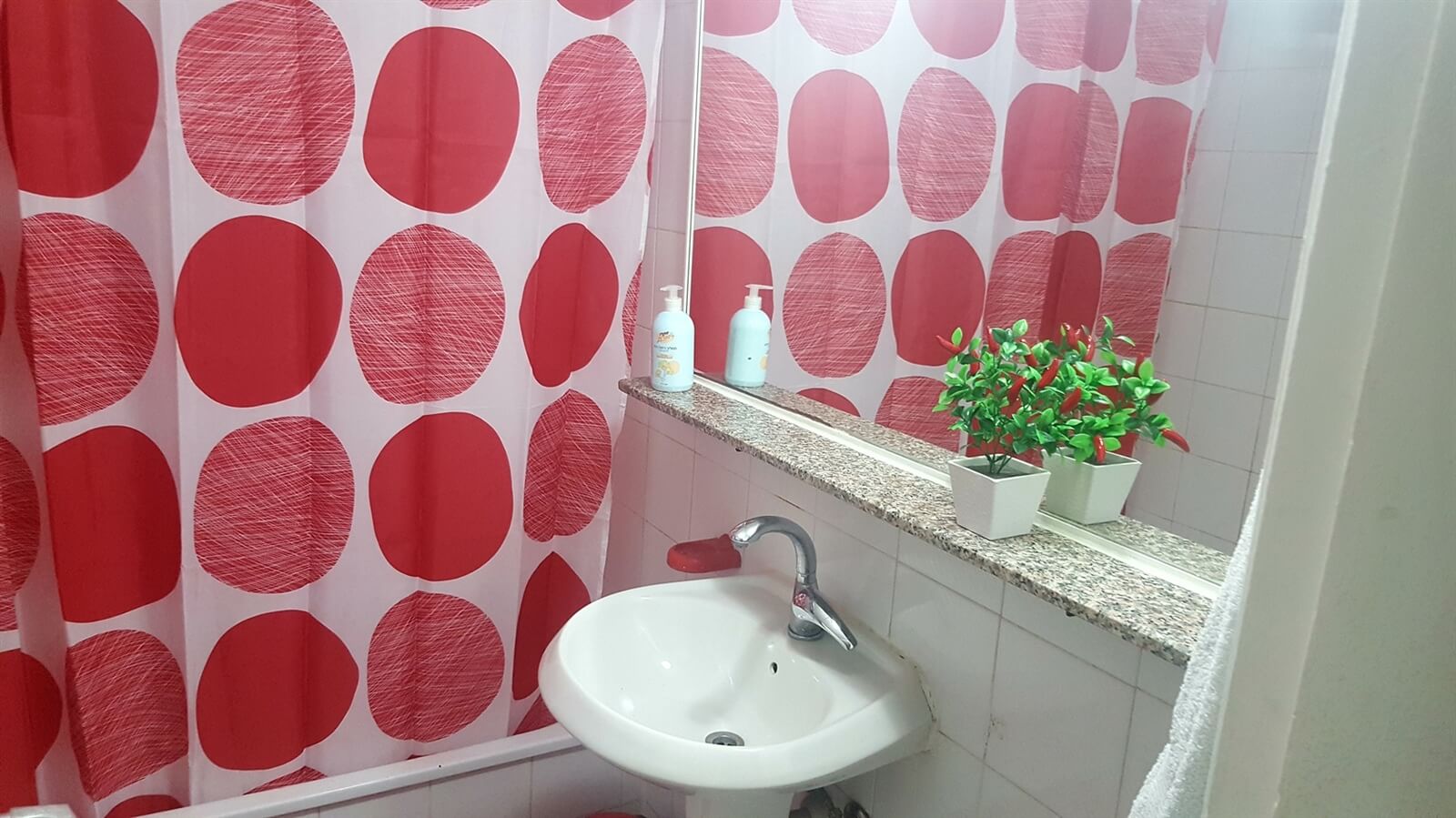 תמונה של דירות נופש - 8