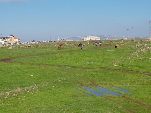 תמונה של המסלולים