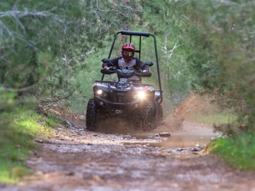 תמונה של המסלולים