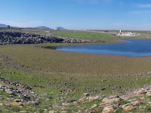 תמונה של המסלולים