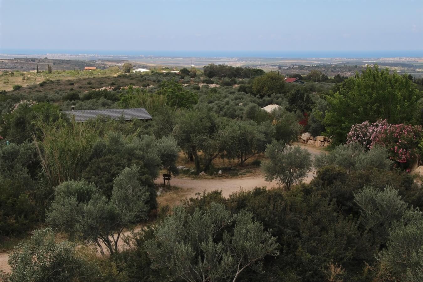 תמונה של הוילה - 3