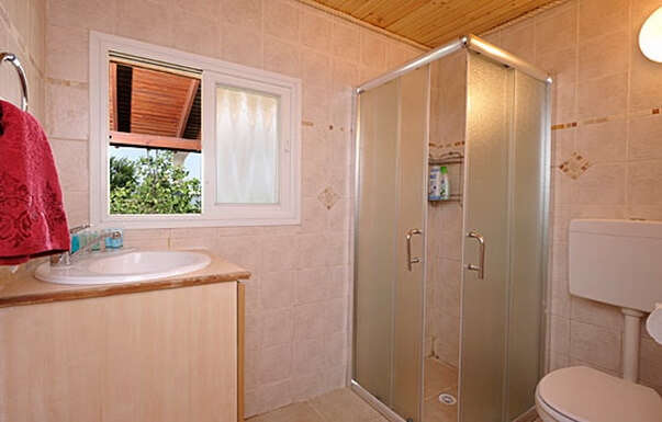 תמונה של בקתת הפקאן - 4