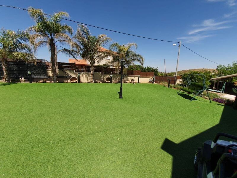 תמונה של בקתת אגוז אפריקאי - 8