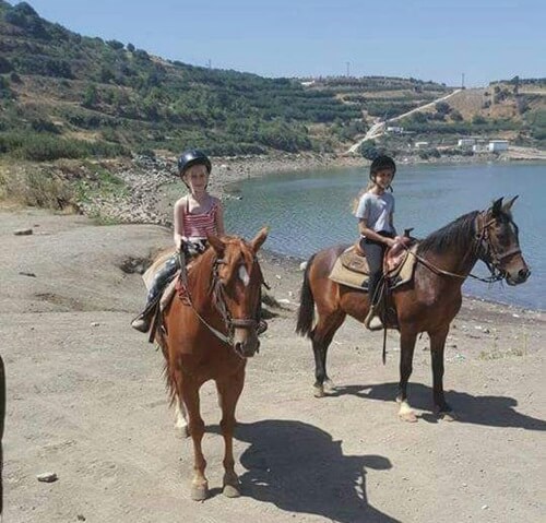 תמונה של טיולי רכיבה על סוסים