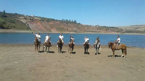 תמונה של טיולי רכיבה על סוסים