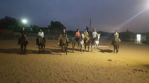 תמונה של טיולי רכיבה על סוסים