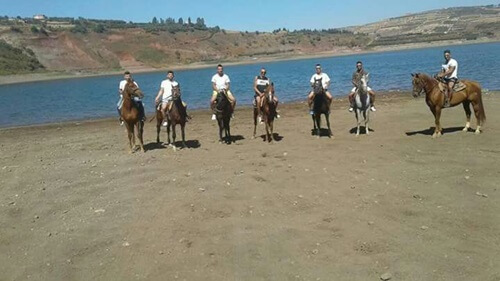 תמונה של טיולי רכיבה על סוסים