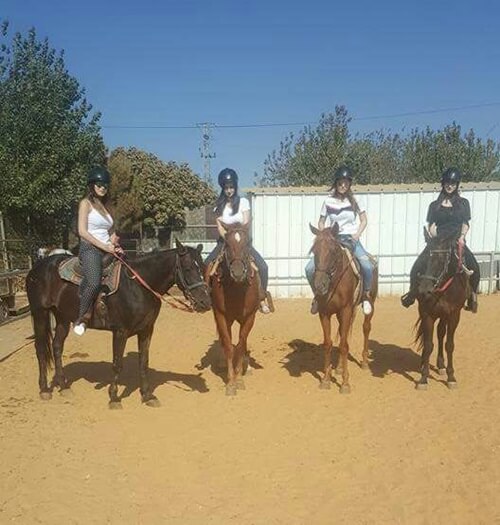 תמונה של טיולי רכיבה על סוסים