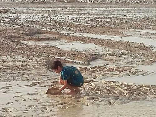 תמונה של טיול רגלי