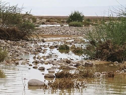 תמונה של טיול רגלי