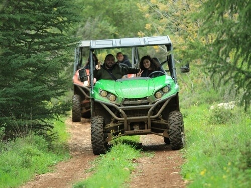 תמונה של טיולי רייזרים