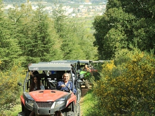 תמונה של טיולי רייזרים
