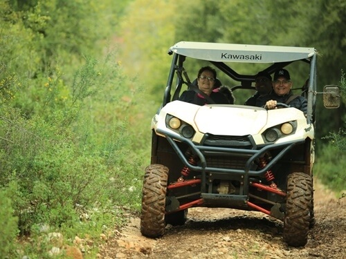 תמונה של טיולי רייזרים