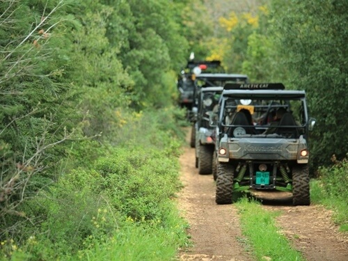 תמונה של טיולי רייזרים
