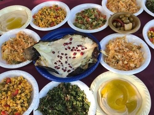 תמונה של טיולי רייזרים