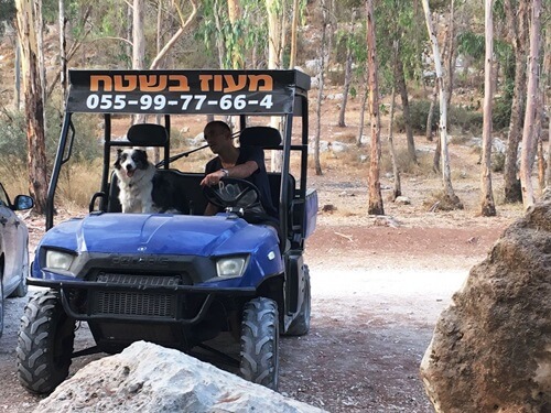 תמונה של ריינג'רים