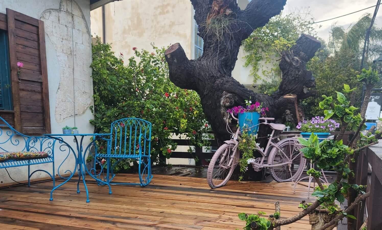 תמונה של סופריור - 3