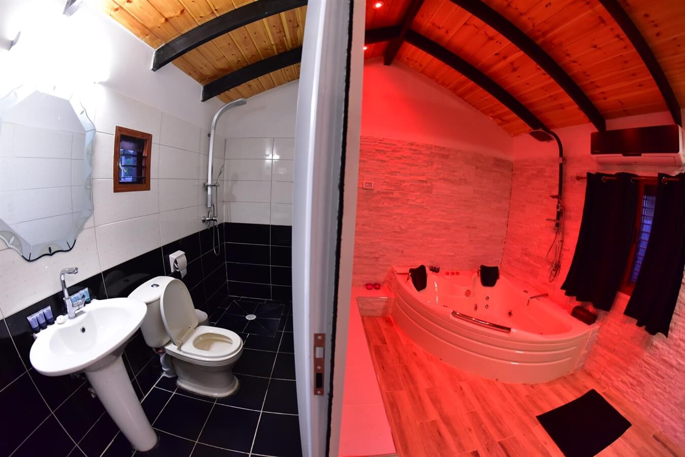 תמונה של כלנית - 7