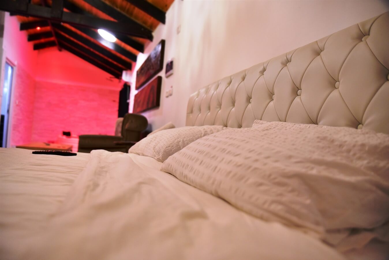 תמונה של כלנית - 3