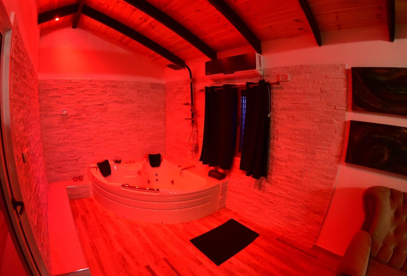 תמונה של כלנית - 8