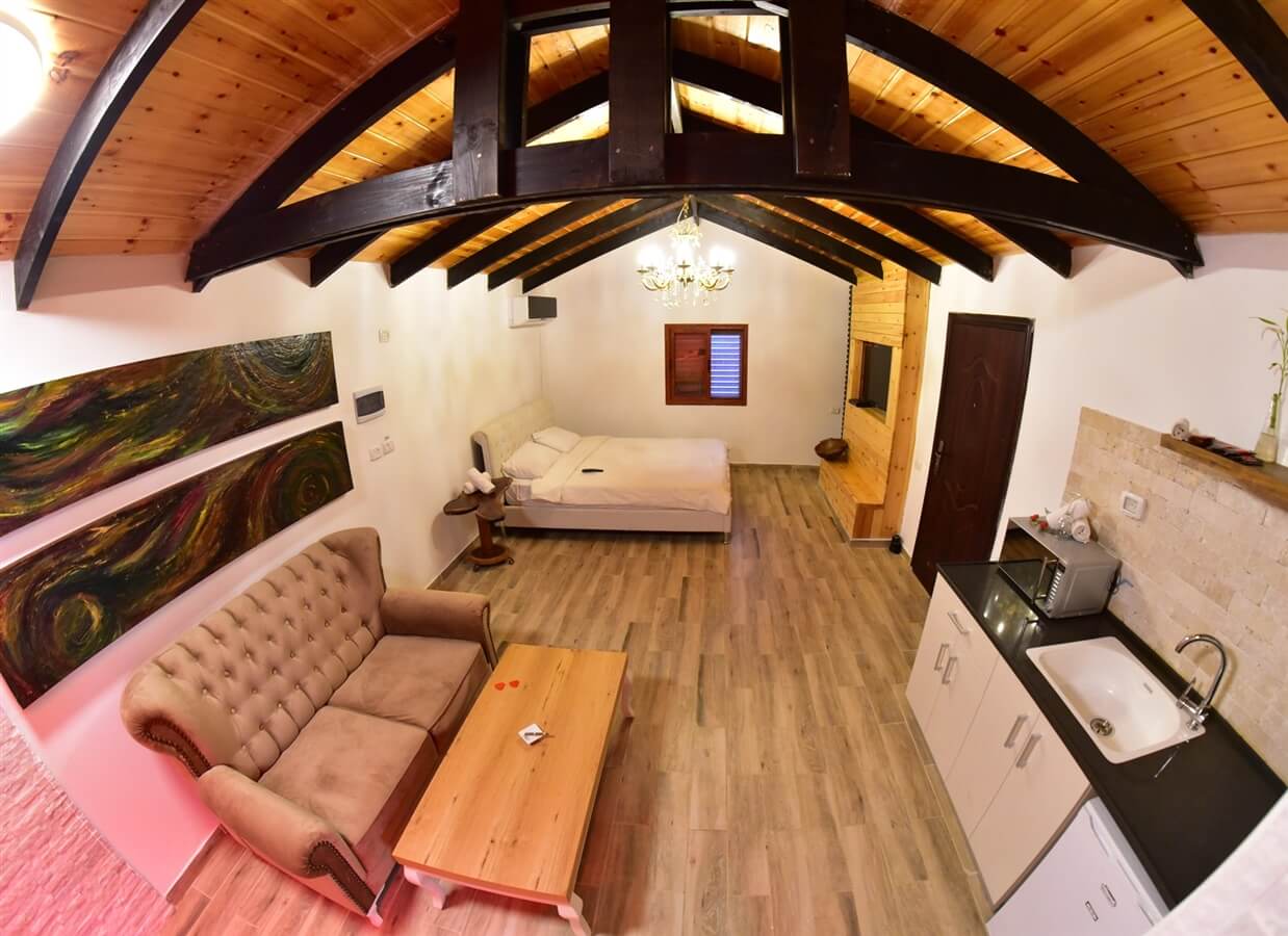 תמונה של כלנית - 2