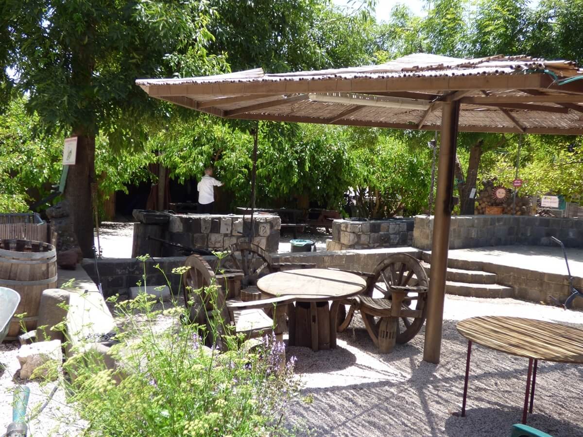 תמונה של חושות ואוהלי אירוח - 9 תמונה של חושות ואוהלי אירוח - 9