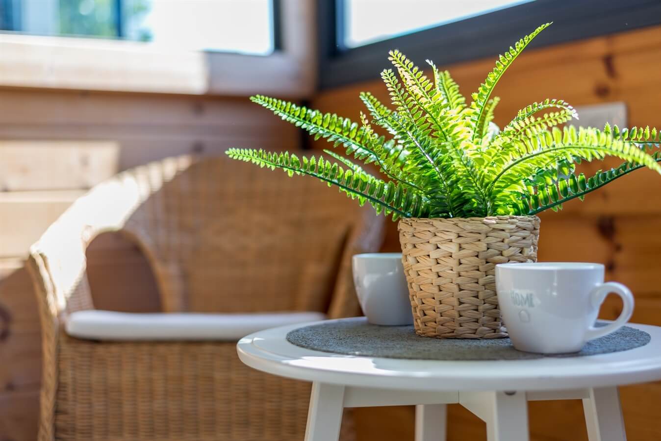 תמונה של הבקתות הזוגיות - 5