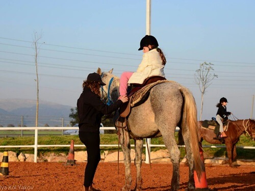 תמונה של טיולי סוסים