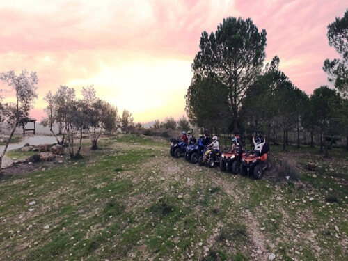 תמונה של המסלולים תמונה של המסלולים