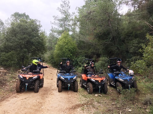 תמונה של המסלולים