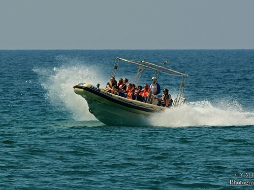 תמונה של מהי סירת טורנדו?