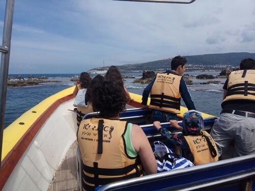 תמונה של מהי סירת טורנדו?