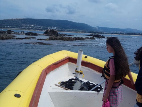 תמונה של מהי סירת טורנדו?