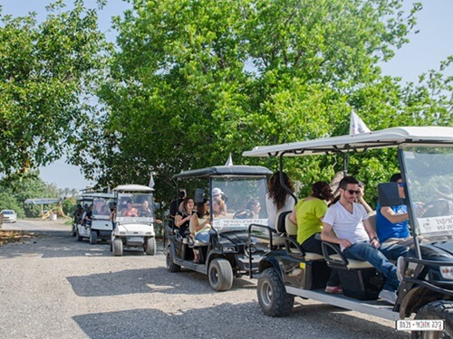 תמונה של טיולי אופניים וארוחות שטח