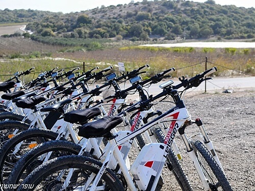 תמונה של טיולי אופניים וארוחות שטח
