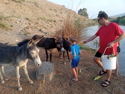 תמונה של ימי כיף