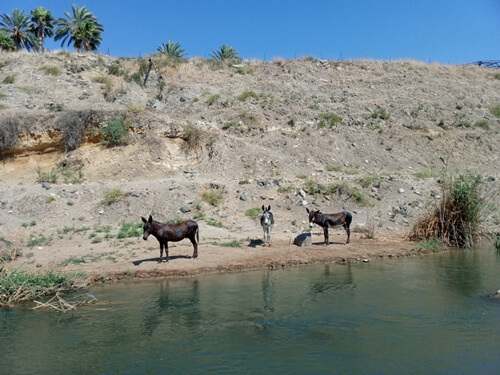 תמונה של ימי כיף