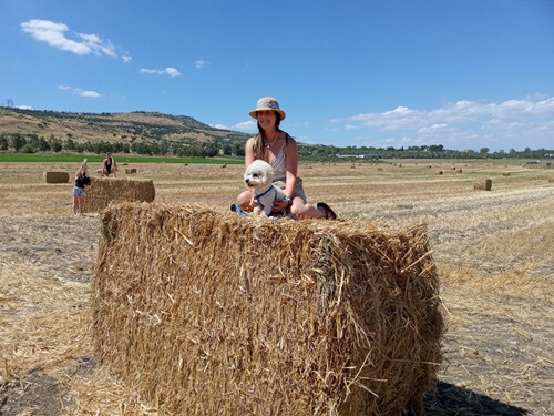תמונה של ימי כיף