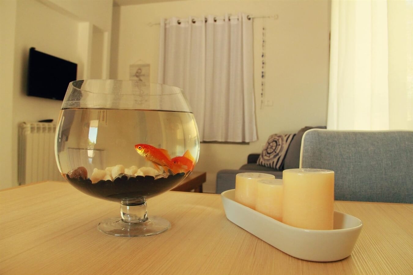 תמונה של הצימרים - 9