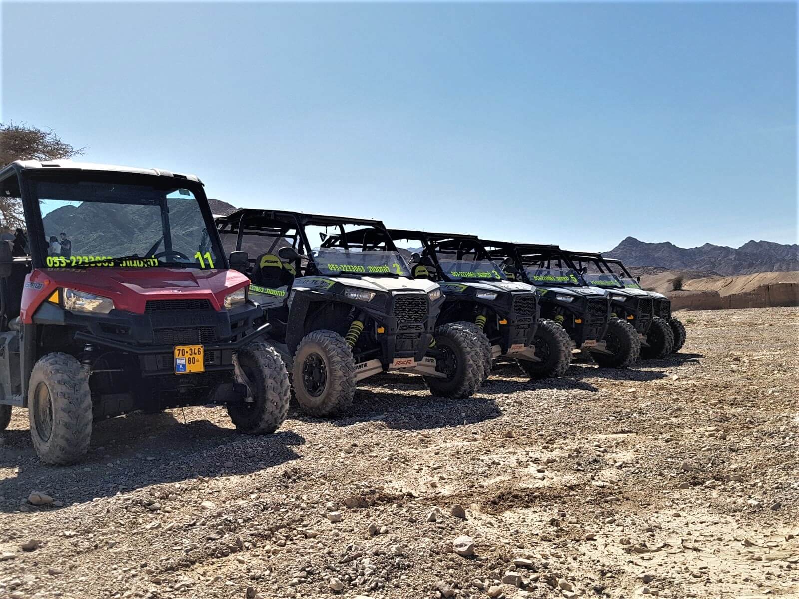 תמונה של הרייזרים