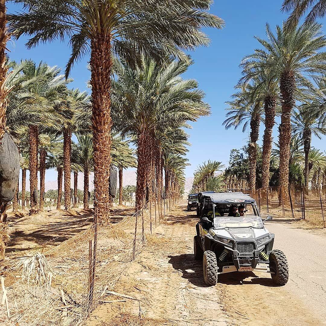 תמונה של הרייזרים