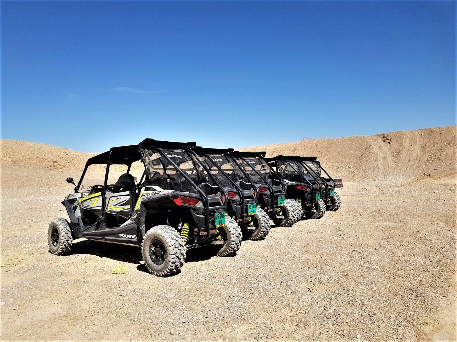 תמונה של הרייזרים