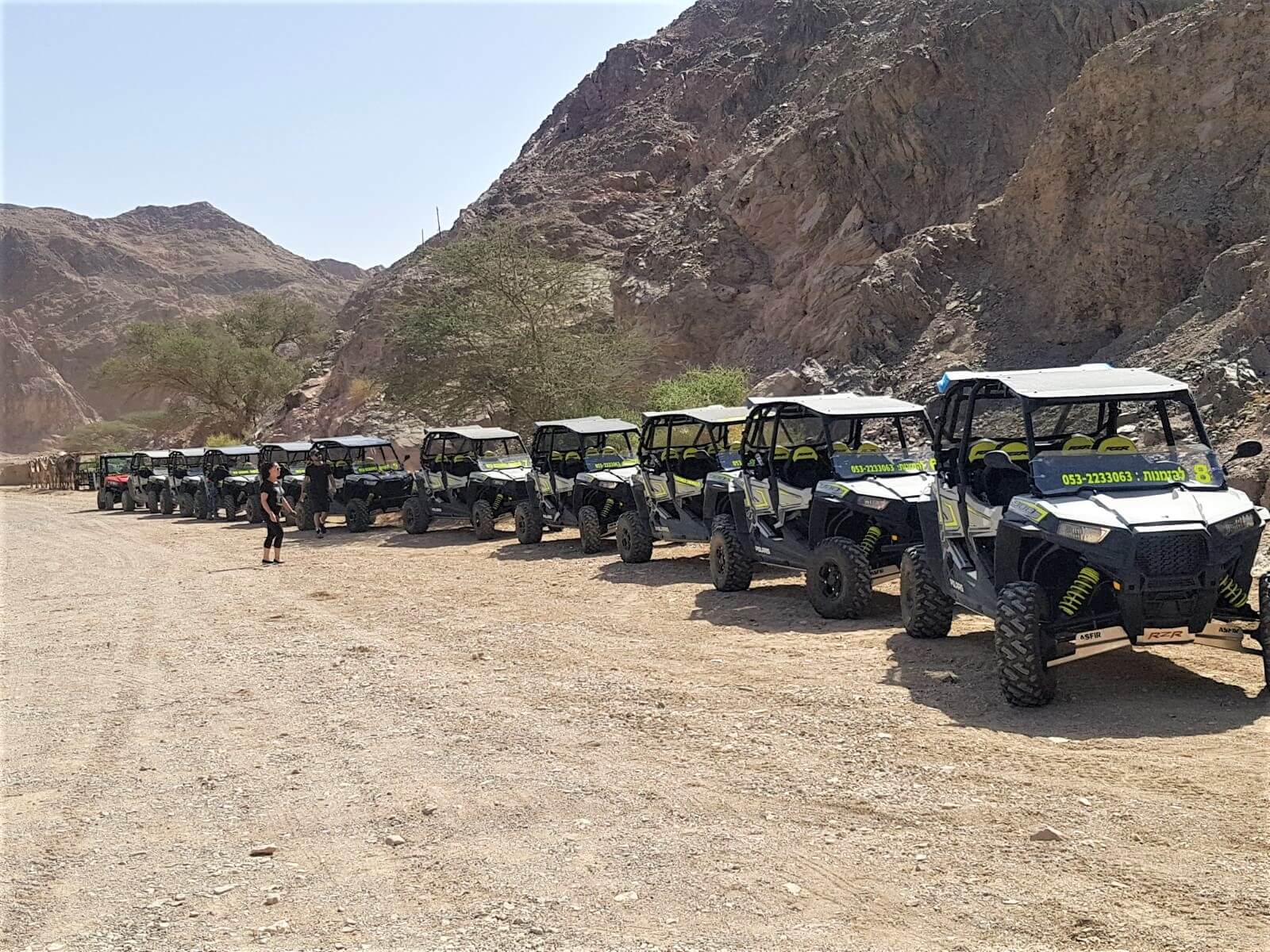 תמונה של הרייזרים