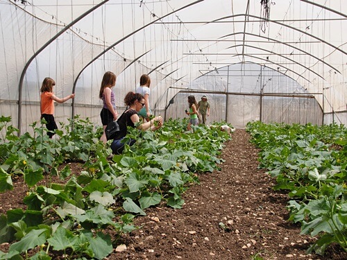 תמונה של חנוכה בקטופותי