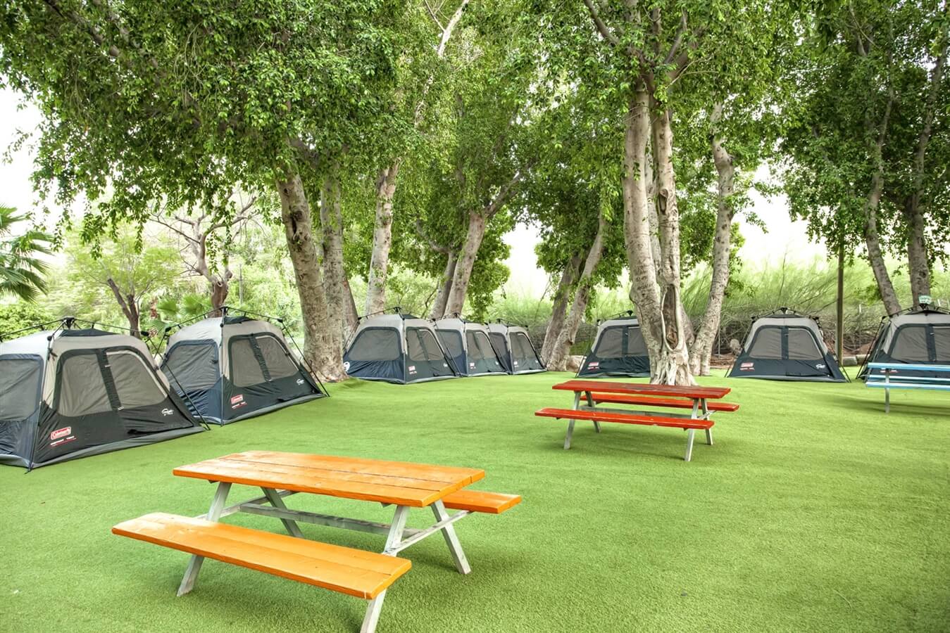 תמונה של מתחמי הלינה - 5