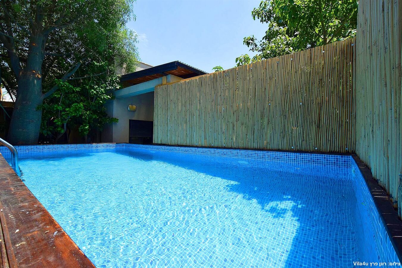 תמונה של היחידה המשפחתית - 6