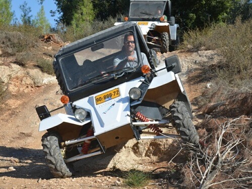 תמונה של טרקטורונים ותומקאר